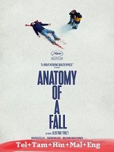 Anatomy of a Fall (2023)  Telugu Dubbed Full Movie Watch Online Free Download | TodayPk