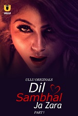 Dil Sambhal Ja Zara - Part 1 (2024)  Hindi Full Web Series Online Free Download | TodayPk