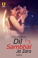 Dil Sambhal Ja Zara - Part 2 (2024)  Hindi Full Web Series Online Free Download | TodayPk