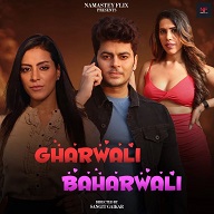 Gharwali Baharwali (2024) HDRip Hindi Namasteyflix Originals Full Movie Watch Online Free Download - TodayPk