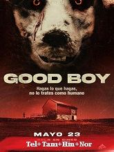 Good Boy (2022)  Telugu Dubbed Full Movie Watch Online Free Download | TodayPk