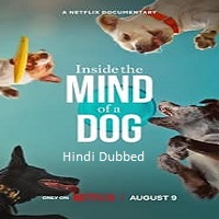 Inside the Mind of a Dog (2024)  Hindi Dubbed Full Movie Watch Online Free Download | TodayPk