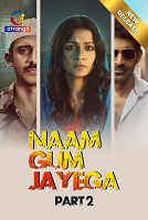 Naam Gum Jayega - Part 2 (2024)  Hindi Full Web Series Online Free Download | TodayPk