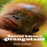 Secret Lives of Orangutans (2024)  Hindi Dubbed Full Movie Watch Online Free Download | TodayPk