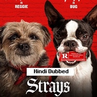 Strays (2024)  Hindi Dubbed Full Movie Watch Online Free Download | TodayPk