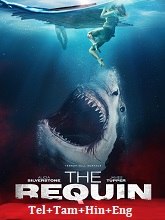 The Requin (2022)  Telugu Dubbed Full Movie Watch Online Free Download | TodayPk