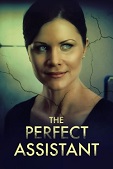 The Perfect Assistant (2008) HDRip English  Full Movie Watch Online Free Download - TodayPk